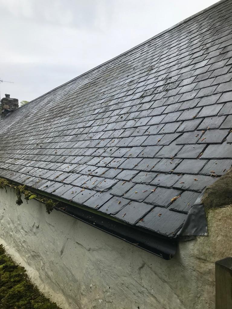 After Roof Cleaning