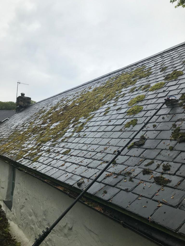 Before Roof Cleaning