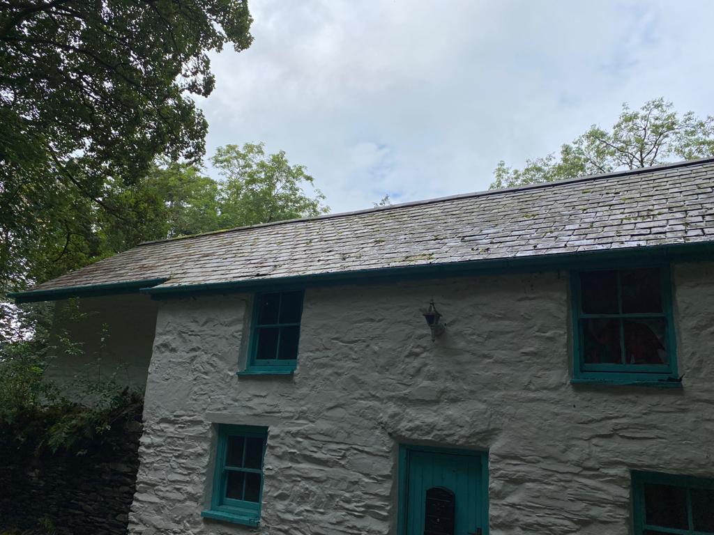 After Moss Removal